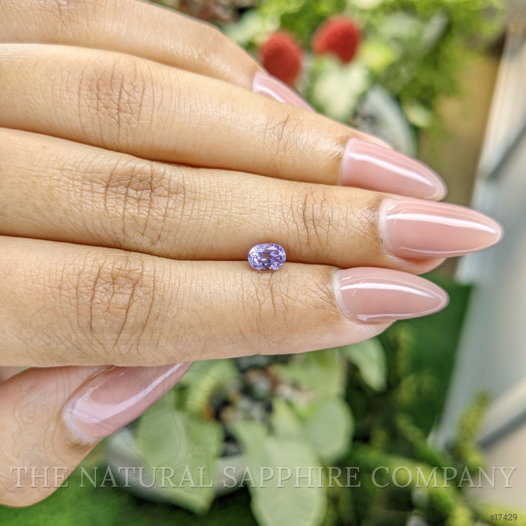 0.72 Ct. Purple Sapphire from Ceylon (Sri Lanka)