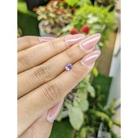 0.72 Ct. Purple Sapphire from Ceylon (Sri Lanka) Life Style