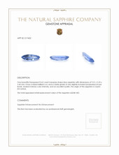0.62 Ct. Blue Sapphire from Ceylon (Sri Lanka) Appraisal