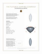 Jewelry 3 D Scan Report