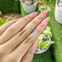 0.77 Ct. Blue Sapphire from Ceylon (Sri Lanka) Life Style