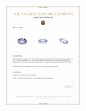 2.93 Ct. Blue Sapphire from Ceylon (Sri Lanka) Appraisal