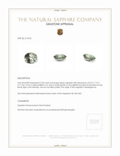 Jewelry Appraisal