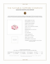 Jewelry Scan Report