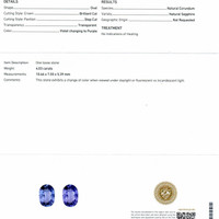 4.03 Ct. Color Change Sapphire from Ceylon (Sri Lanka) Scan Report