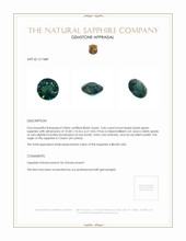 5.06 Ct. Sapphire from Ceylon (Sri Lanka) Appraisal