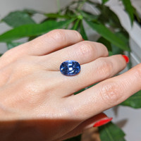 6.70 Ct. Blue Sapphire from Ceylon (Sri Lanka) Life Style