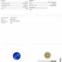 4.03 Ct. Blue Sapphire from Ceylon (Sri Lanka) Scan Report