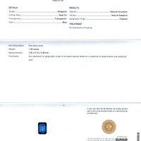 Jewelry Scan Report