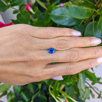 1.69 Ct. Blue Sapphire from Thailand Life Style