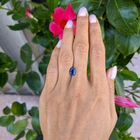 1.69 Ct. Blue Sapphire from Thailand Life Style