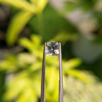 1.43 Ct. Bi Color Sapphire from Madagascar Life Style