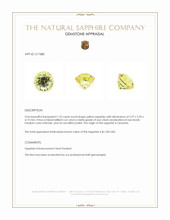 1.25 Ct. Yellow Sapphire from Tanzania Appraisal