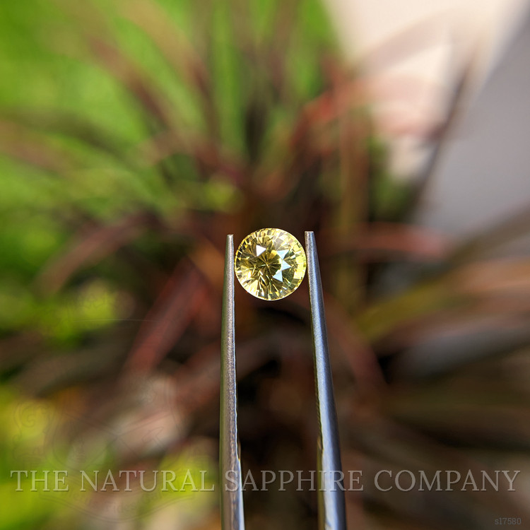 1.25 Ct. Yellow Sapphire from Tanzania
