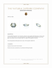 Jewelry Appraisal