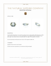 Jewelry Appraisal