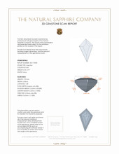 Jewelry 3 D Scan Report