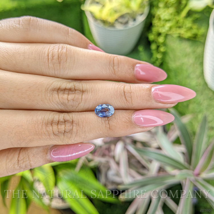 1.63 Ct. Bi Color Sapphire from Ceylon (Sri Lanka)