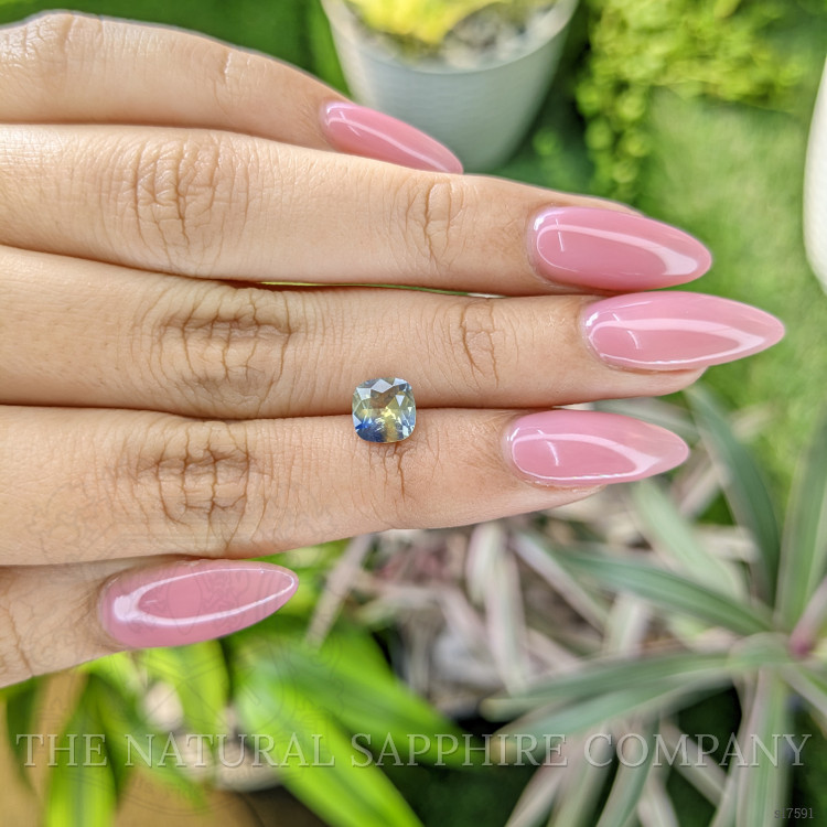 1.29 Ct. Bi Color Sapphire from Ceylon (Sri Lanka)