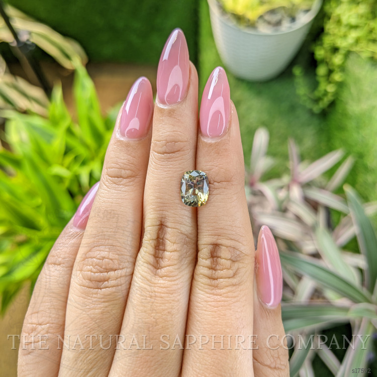 2.29 Ct. Bi Color Sapphire from Ceylon (Sri Lanka)