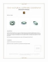 3.14 Ct. Bluish Green Sapphire from Ceylon (Sri Lanka) Appraisal