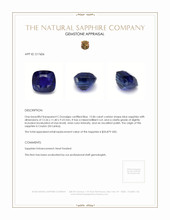 12.86 Ct. Blue Sapphire from Ceylon (Sri Lanka) Appraisal