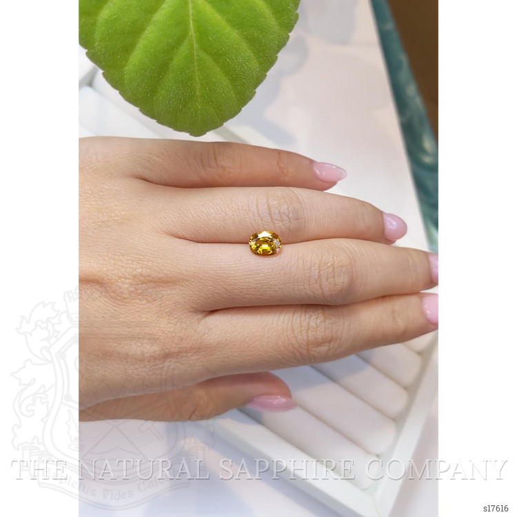 1.46 Ct. Yellow Sapphire from Ceylon (Sri Lanka)