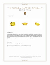 1.51 Ct. Yellow Sapphire from Ceylon (Sri Lanka) Appraisal