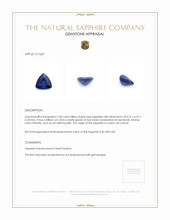 1.00 Ct. Blue Sapphire from Ceylon (Sri Lanka) Appraisal