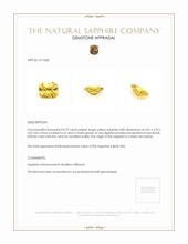 0.79 Ct. Yellow Sapphire from Ceylon (Sri Lanka) Appraisal