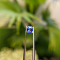 1.11 Ct. Blue Sapphire from Ceylon (Sri Lanka) Life Style