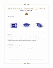 4.08 Ct. Purplish Blue Sapphire from Ceylon (Sri Lanka) Appraisal