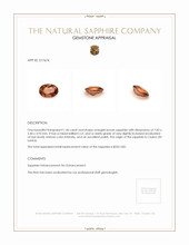 Jewelry Appraisal
