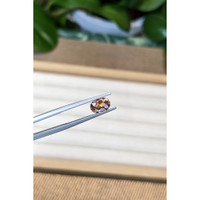 1.46 Ct. Orangish Brown Sapphire from Ceylon (Sri Lanka) Life Style