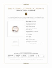 Jewelry Scan Report