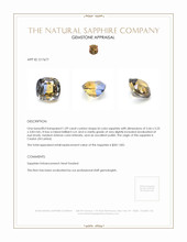 1.09 Ct. Bi Color Sapphire from Ceylon (Sri Lanka) Appraisal