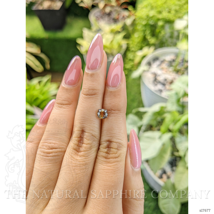 1.09 Ct. Bi Color Sapphire from Ceylon (Sri Lanka)