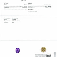 2.53 Ct. Purple Sapphire from Ceylon (Sri Lanka) Scan Report