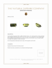 Jewelry Appraisal