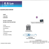 3.52 Ct. Pink Star Sapphire from Ceylon (Sri Lanka) Scan Report