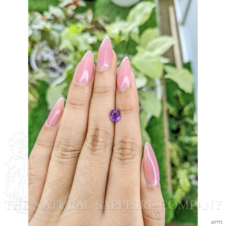 1.55 Ct. Purple Sapphire from Madagascar