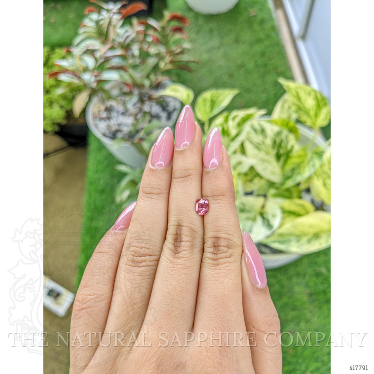 1.03 Ct. Pink Sapphire from Madagascar