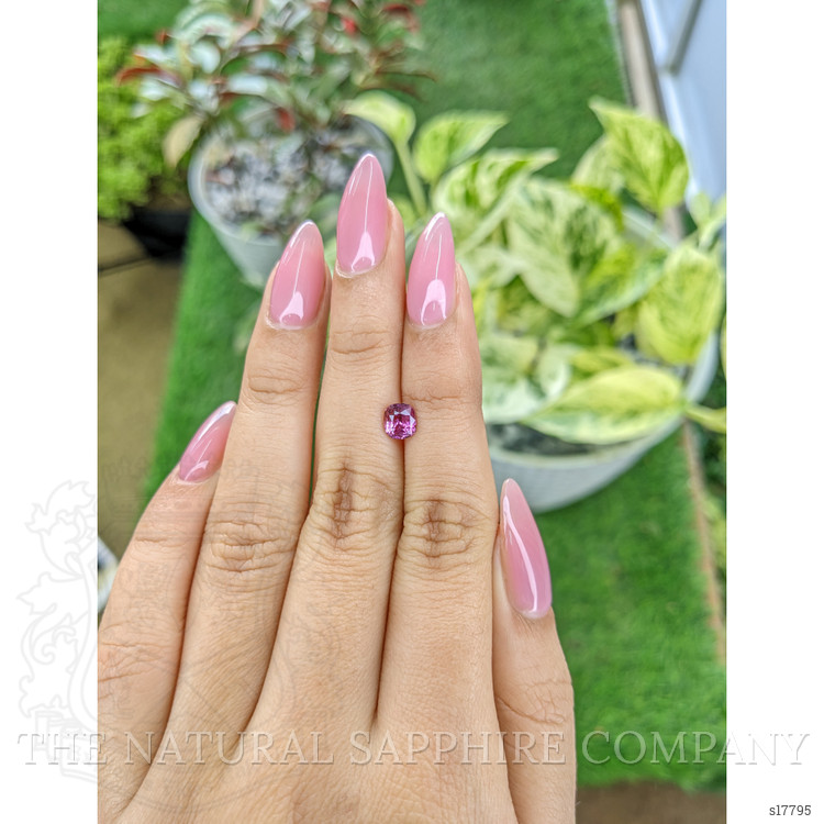 1.04 Ct. Purplish Pink Sapphire from Madagascar