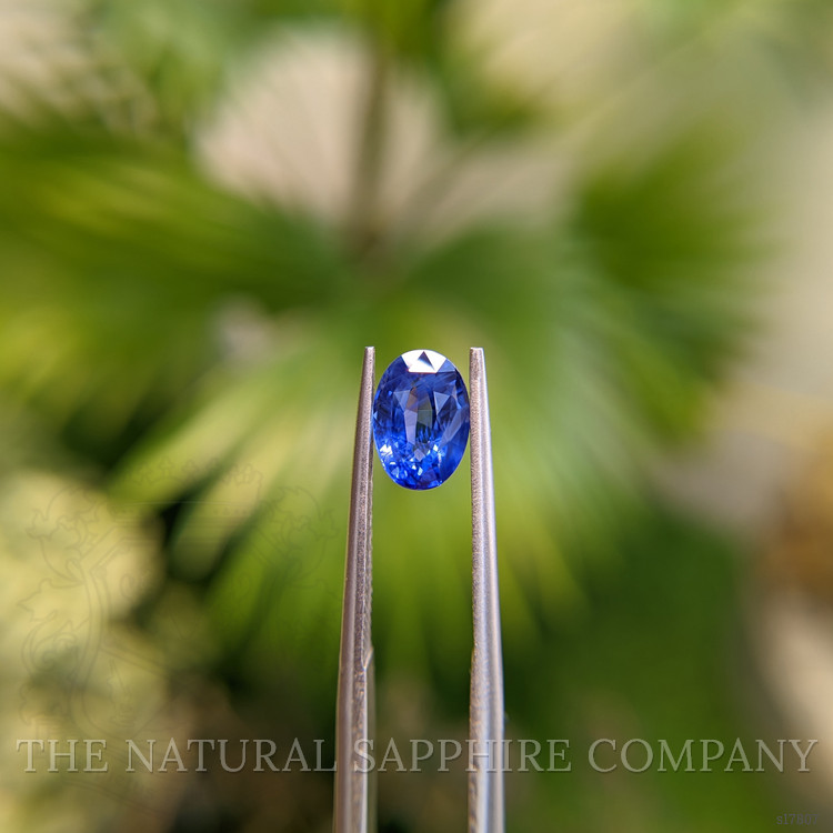 1.53 Ct. Blue Sapphire from Ceylon (Sri Lanka)