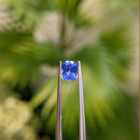 1.26 Ct. Blue Sapphire from Ceylon (Sri Lanka) Life Style