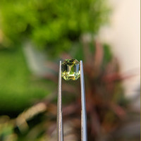 1.67 Ct. Yellowish Green Sapphire from Madagascar Life Style