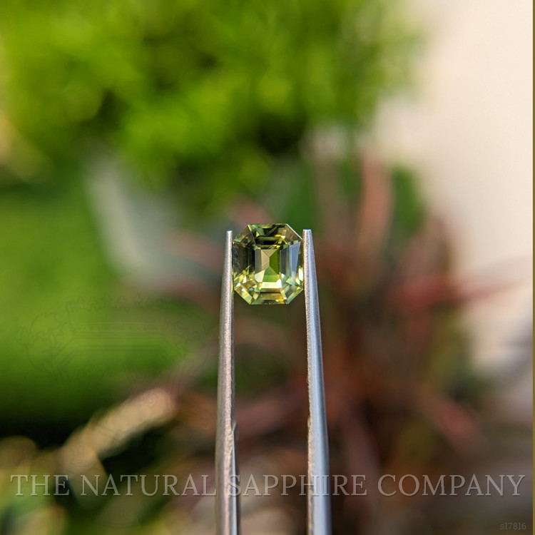 1.67 Ct. Yellowish Green Sapphire from Madagascar
