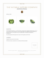 1.19 Ct. Green Sapphire from Madagascar Appraisal