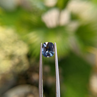 1.50 Ct. Bi Color Sapphire from Ceylon (Sri Lanka) Life Style