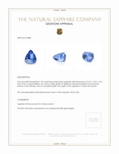 1.02 Ct. Blue Sapphire from Ceylon (Sri Lanka) Appraisal